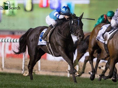 Preview &amp; Trifecta - The Queen Elizabeth II Cup (Japan) Image 3