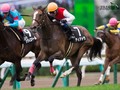 Preview & Trifecta - The Queen Elizabeth II Cup (Japan)