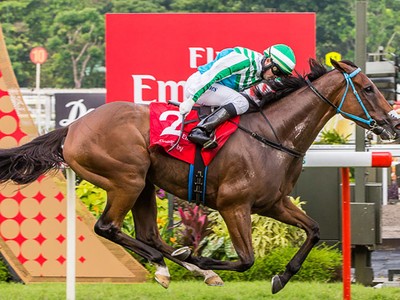 Preview &amp; Trifecta - Singapore Gold Cup 2017 Image 1