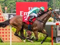 Preview & Trifecta - Singapore Gold Cup 2017