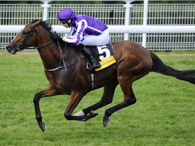 Preview &amp; Trifecta - The Hong Kong Vase 2017 Image 1