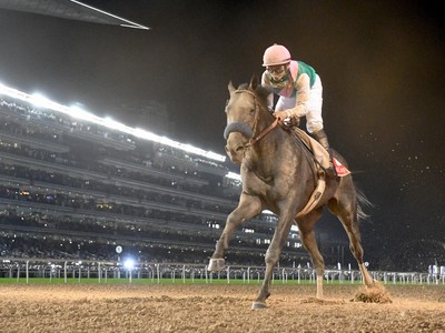 Arrogate’s Sense of Purpose Image 2