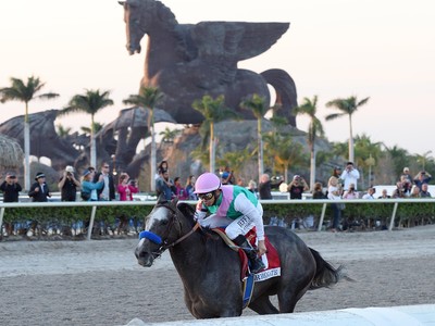 Arrogate’s Sense of Purpose Image 1