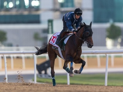 Vetran Trainer Charpy's Amazon Princess is Back In Dubai Image 2