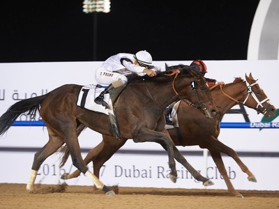 Vetran Trainer Charpy's Amazon Princess is Back In Dubai Image 4