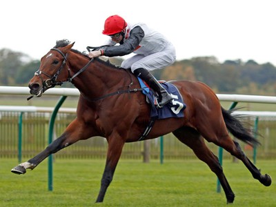 Champions Eye the Sheema Classic Image 2