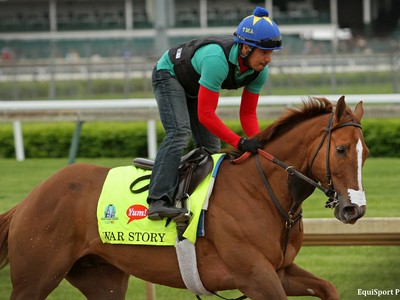 War Story Aiming for Dubai World Cup Image 1