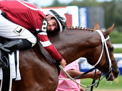 Review: USA: Pegasus World Cup 2018 Image 1