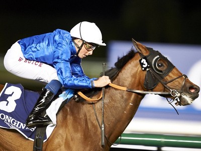 Preview &amp; Trifecta - Gr.2 Al Fahidi Fort Image 3