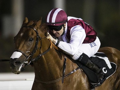 Preview &amp; Trifecta - Gr.2 Al Fahidi Fort Image 1