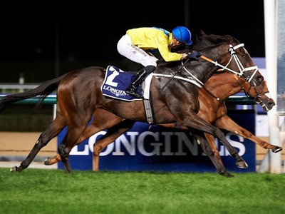 Preview &amp; Trifecta - Al Rashidiya Image 2