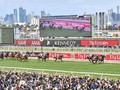 Record Economic Benefit From Melbourne Cup Carnival