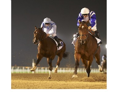 Preview &amp; Trifecta - Al Maktoum Challenge RD 2 Image 2