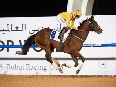 Preview &amp; Trifecta - Al Shindagha Sprint Image 3