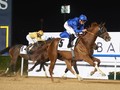 Preview & Trifecta - Al Shindagha Sprint