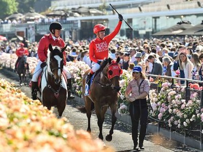 Redzel key to Melbourne blitz Image 1