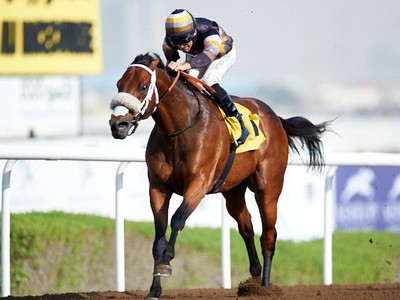 Just A Penny Makes Perfect Sense In Friday Jebel Ali Feature Image 1