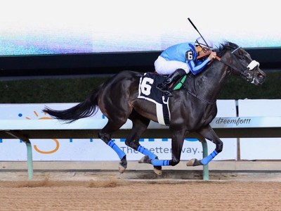 Preview &amp; Trifecta: Gr.2 Balanchine Image 3