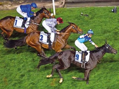 Vivlos Points to Gr.1 Dubai Turf Defence Image 1