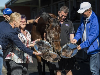 To Meydan With Winx Image 2