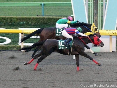 Nonkono Yume Scores Powerfully in February Stakes To Gain Fi ... Image 1