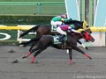 Nonkono Yume Scores Powerfully in February Stakes To Gain First Entry In Breeders’ Cup Classic (2018)