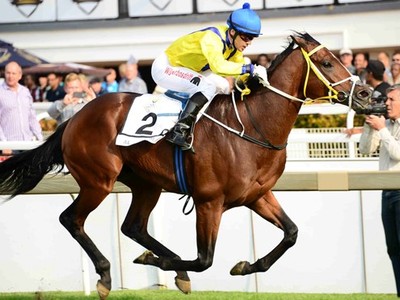 Preview &amp; Trifecta: Dubai Millennium Stakes Gr3 Image 1