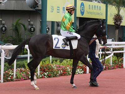 Hong Kong Classic Emperor Ready For Dubai Debut Image 1