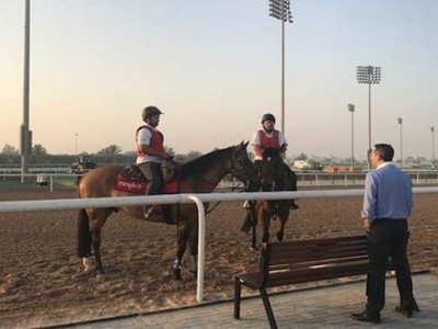 BLOG: Post Card From Meydan Image 1