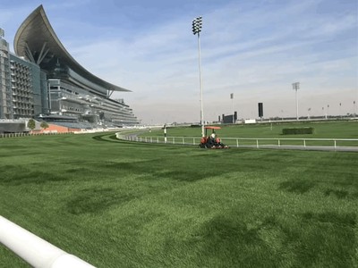 BLOG: Postcard From Meydan: Part 2 Image 1