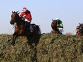 BLOG: Red Definitly Different From Some Recent Top Weights In The Grand National