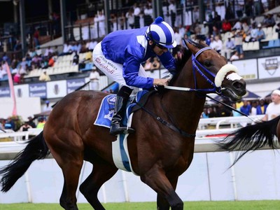 Review: Meydan Sprint, Dubai Millennium Stakes &amp; Zabeel Mile Image 1