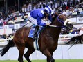 Review: Meydan Sprint, Dubai Millennium Stakes & Zabeel Mile