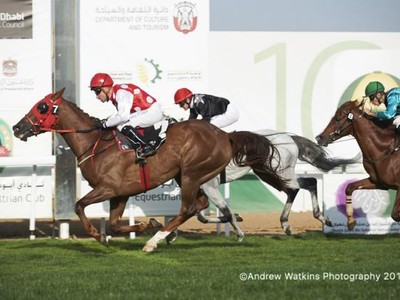 Abu Dhabi Equestrian Club Gold Cup Leads Sunday Action Image 1