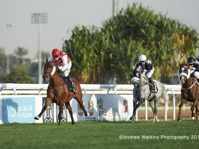 Abu Dhabi Equestrian Club Gold Cup Leads Sunday Action Image 2