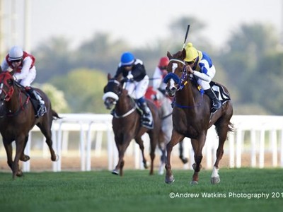 Abu Dhabi Equestrian Club Gold Cup Leads Sunday Action Image 3