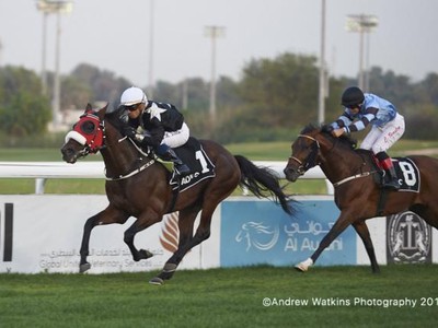 Abu Dhabi Equestrian Club Gold Cup Leads Sunday Action Image 4