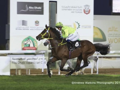 Abu Dhabi Equestrian Club Gold Cup Leads Sunday Action Image 5