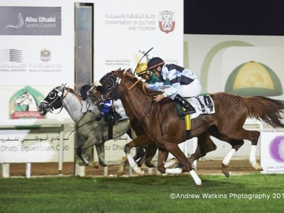 Abu Dhabi Equestrian Club Gold Cup Leads Sunday Action Image 6