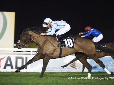 Abu Dhabi Equestrian Club Gold Cup Leads Sunday Action Image 7