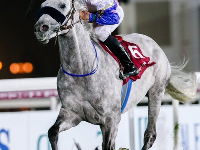 Review: Day Two - HH the Emir’s Sword Racing Festival Image 2