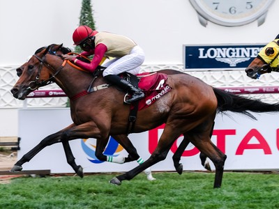 Review: Day 3 - HH the Emir’s Sword Racing Festival Image 5