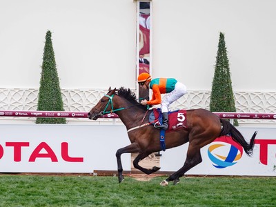 Review: Day 3 - HH the Emir’s Sword Racing Festival Image 6