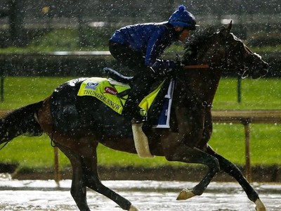 Saeed Bin Suroor: Master Of Al Quoz Image 2