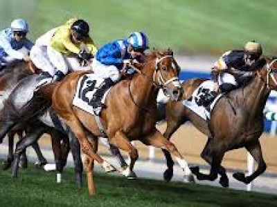 Preview: Mailshot highlights Today's Race Card At Meydan Image 1