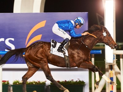 Preview: Gr.1 Maktoum Challenge R3 Image 1