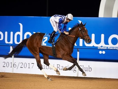 Preview: Gr.1 Maktoum Challenge R3 Image 2