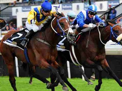 Preview: Gr.1 Jebel Hatta Image 1