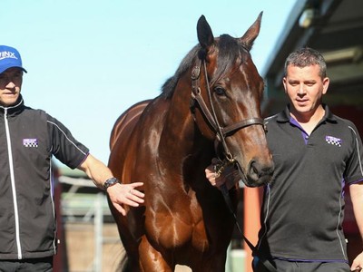 Royal Ascot Beckons Modern Day Phar Lap Winx Image 1