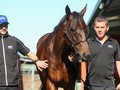 Royal Ascot Beckons Modern Day Phar Lap Winx